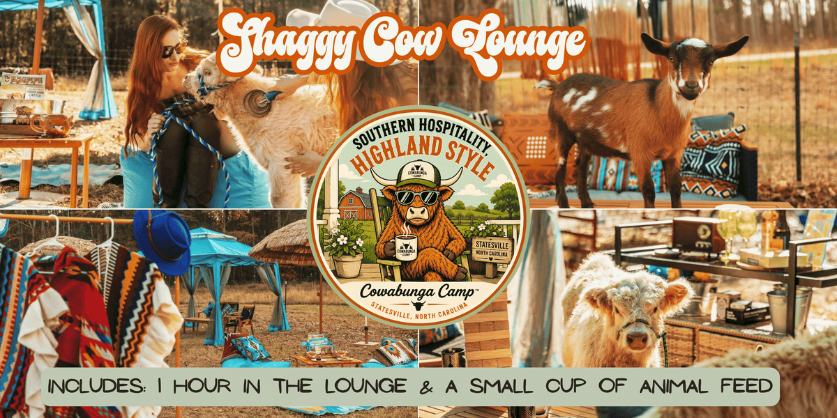 Shaggy Cow Lounge Statesville, NC