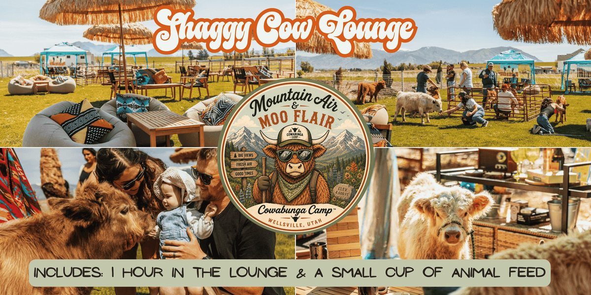 Shaggy Cow Lounge  Wellsville, UT