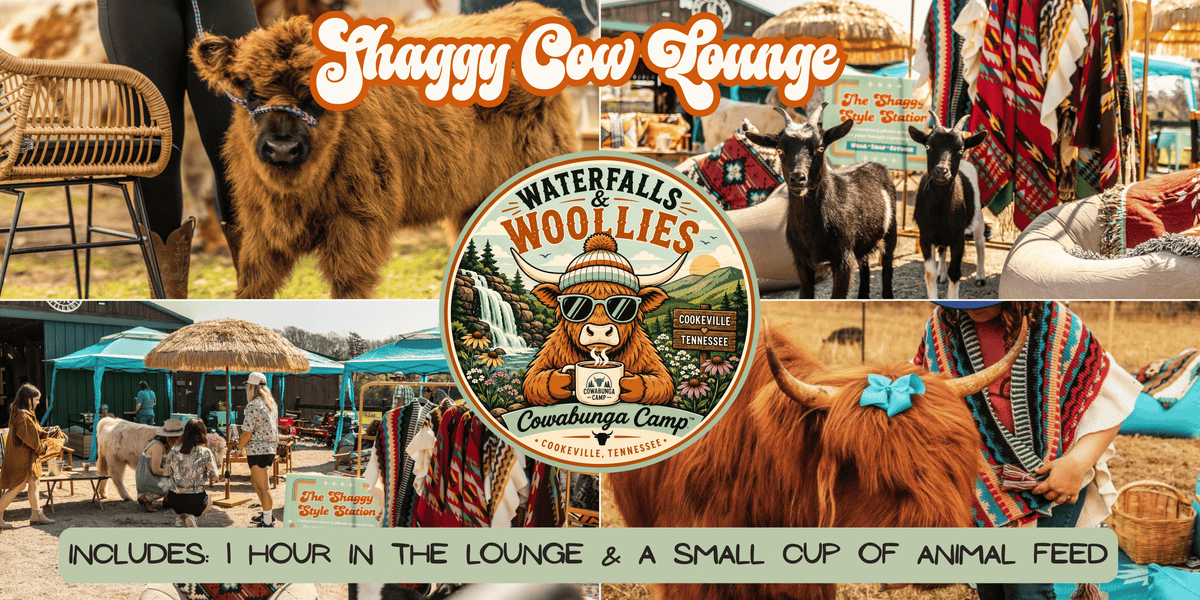 Shaggy Cow Lounge Cookeville, TN