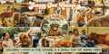 Shaggy Cow Lounge   Defuniak Springs, FL