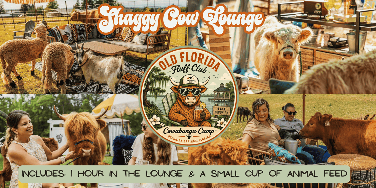 Shaggy Cow Lounge   Defuniak Springs, FL