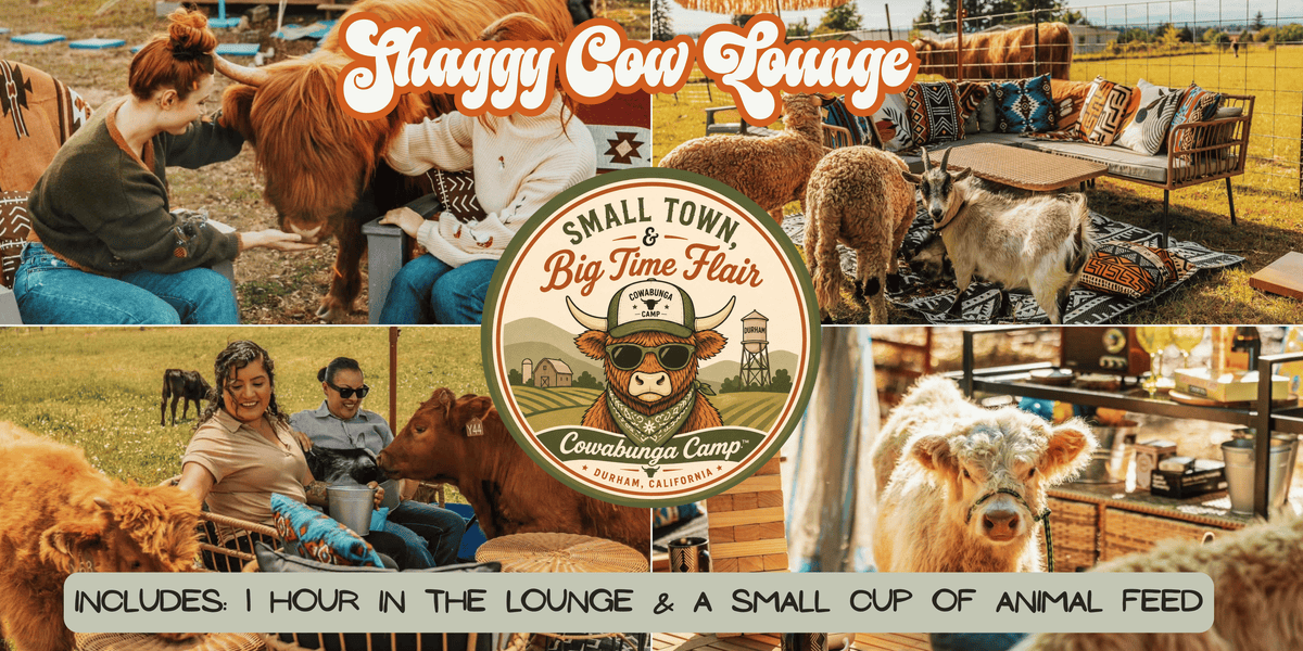 Shaggy Cow Lounge Durham, CA