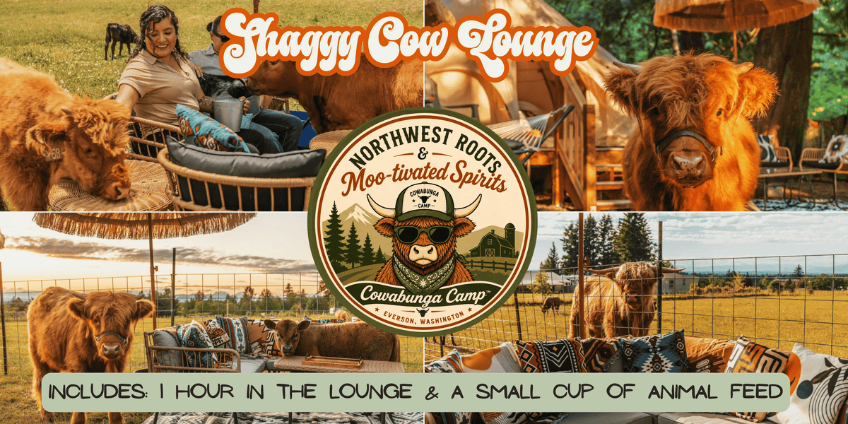 Shaggy Cow Lounge Everson, WA