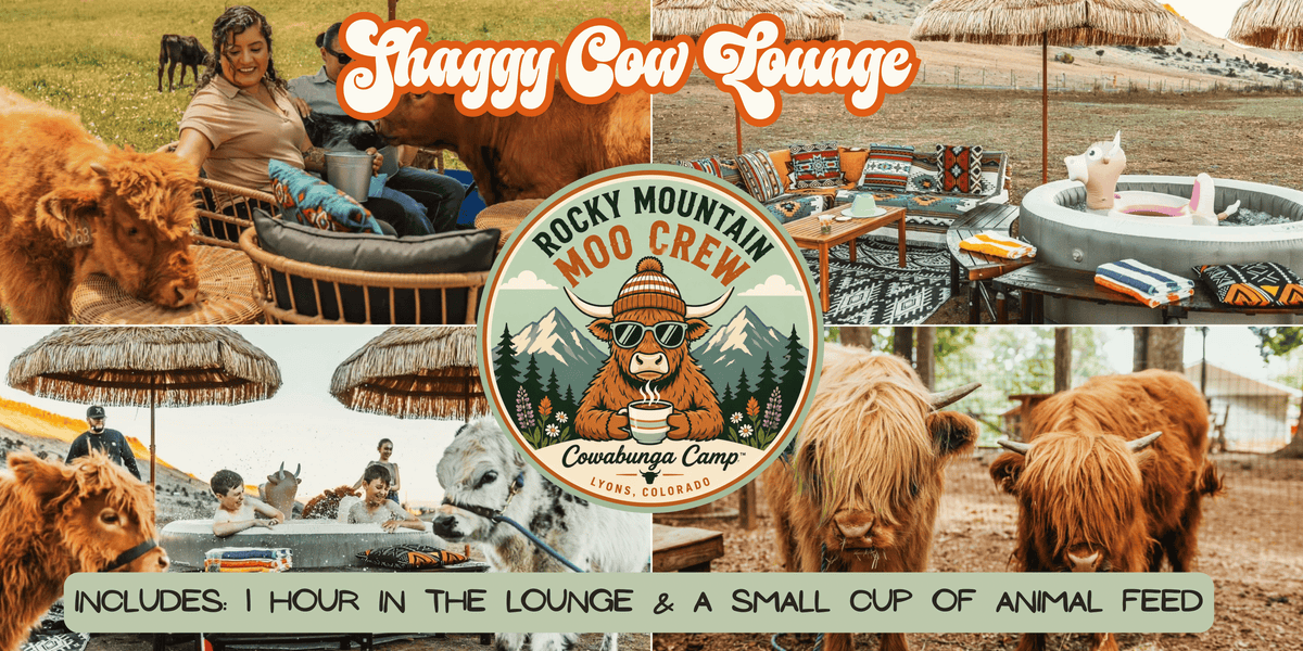 Shaggy Cow Lounge Lyons, CO