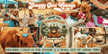 Shaggy Cow Lounge Middleburg, FL