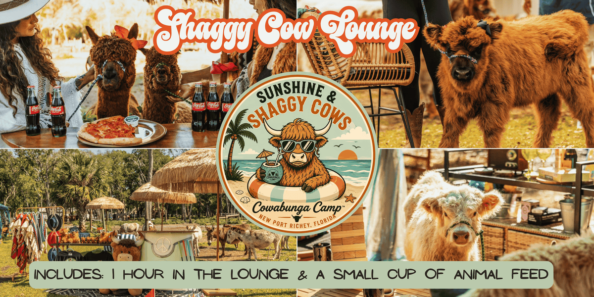 Shaggy Cow Lounge New Port Richey, FL