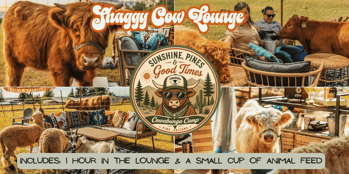 Shaggy Cow Lounge Pine, AZ