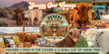 Shaggy Cow Lounge   Apache Junction, AZ