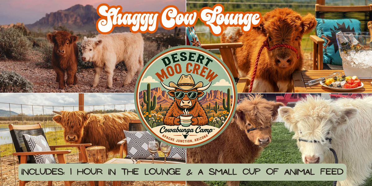 Shaggy Cow Lounge   Apache Junction, AZ