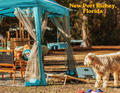 VIP Cabana New Port Richey, FL