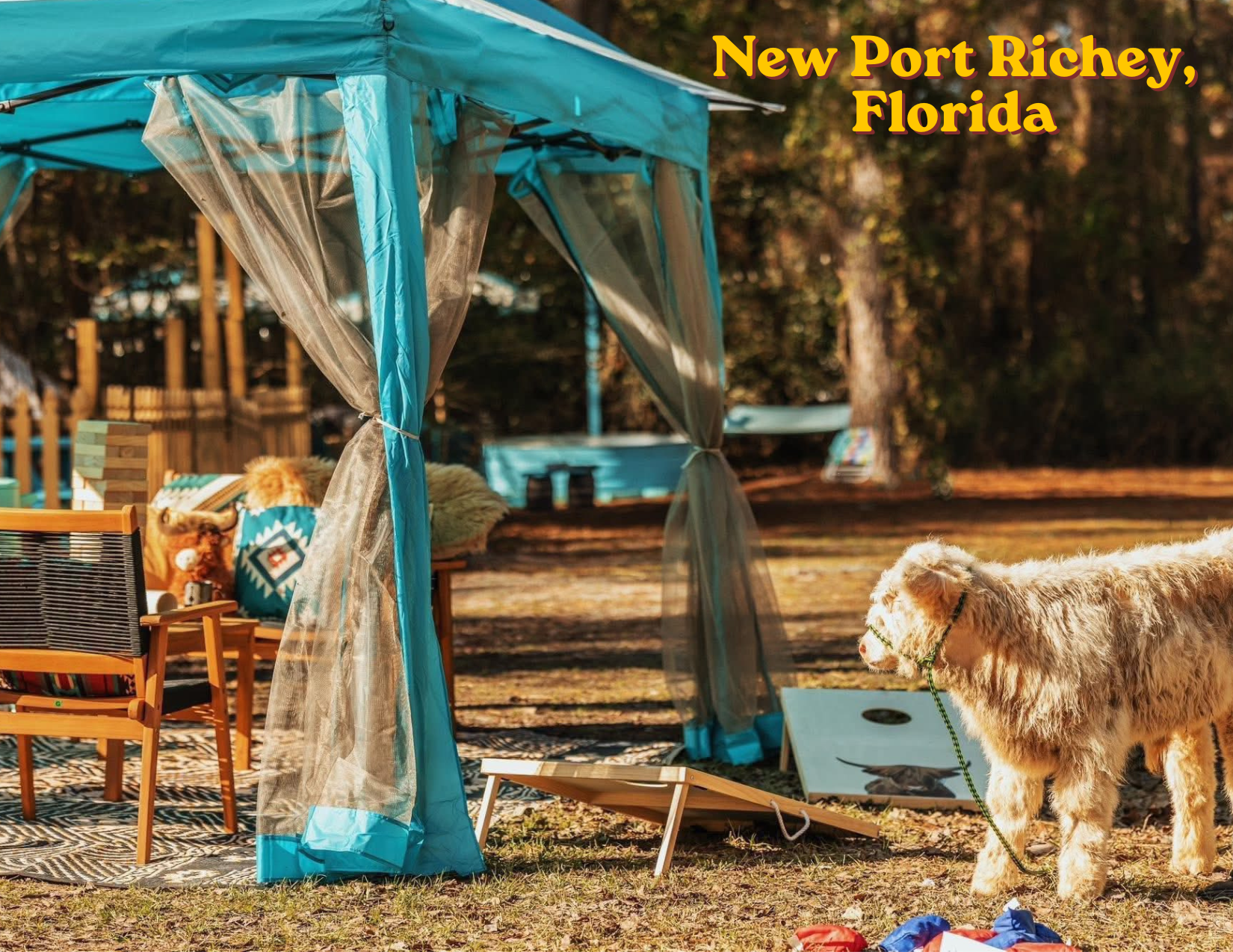 VIP Cabana New Port Richey, FL