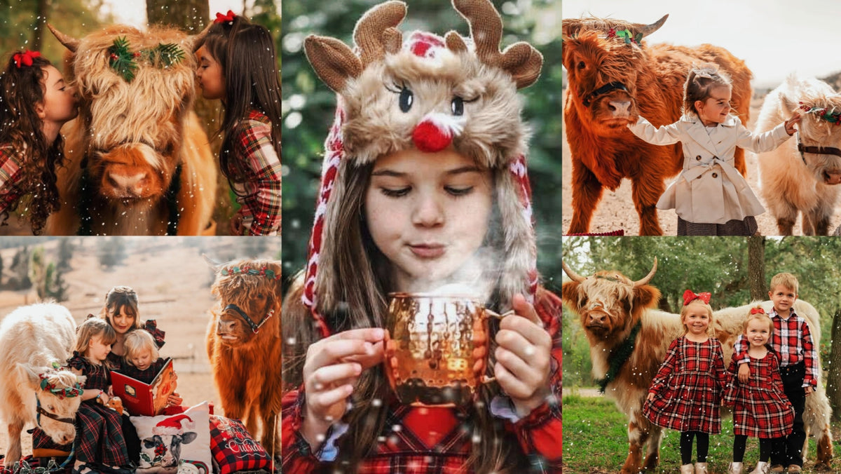 Fluffy Christmas Cow Mini Photoshoot - Add On